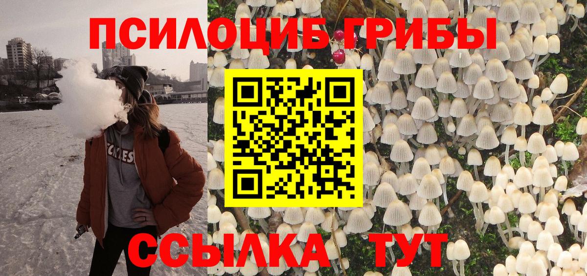 Галлюциногенные грибы мухоморы  как найти закладки  Брянск  Псилоцибиновые грибы Magic Shrooms  Вход с VPN 