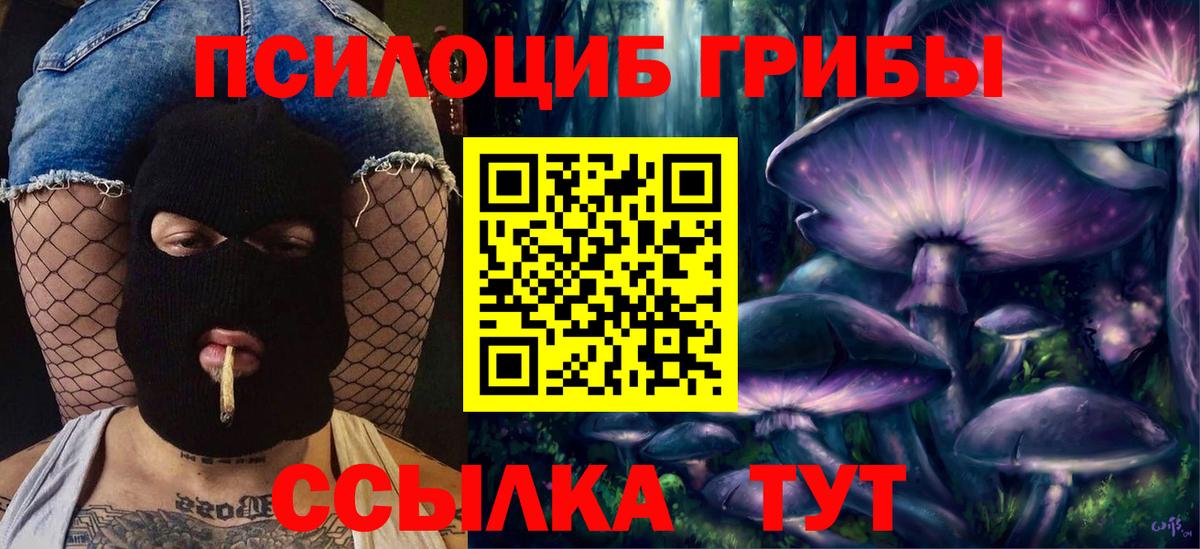 Псилоцибиновые грибы мицелий Брянск